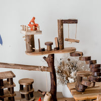 QToys Tree House Complex