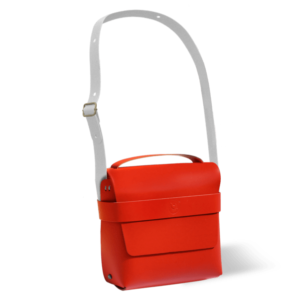 Wishbone Bike Bag