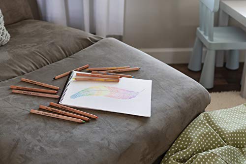 Lyra Super Ferby Unlacquered Waldorf 6 Colours