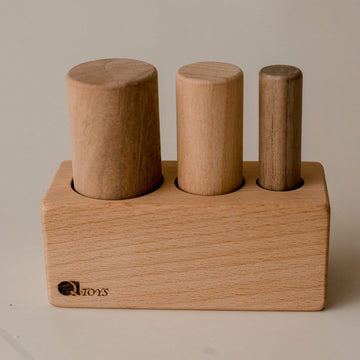 QToys 3 Pole Puzzle