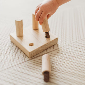 QToys Screw Game