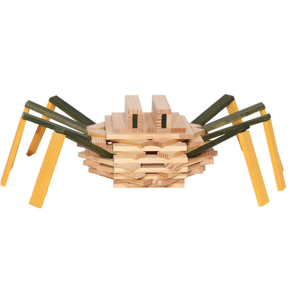Kapla Spider Case
