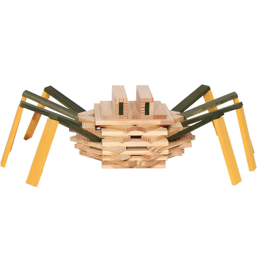 Kapla Spider Case