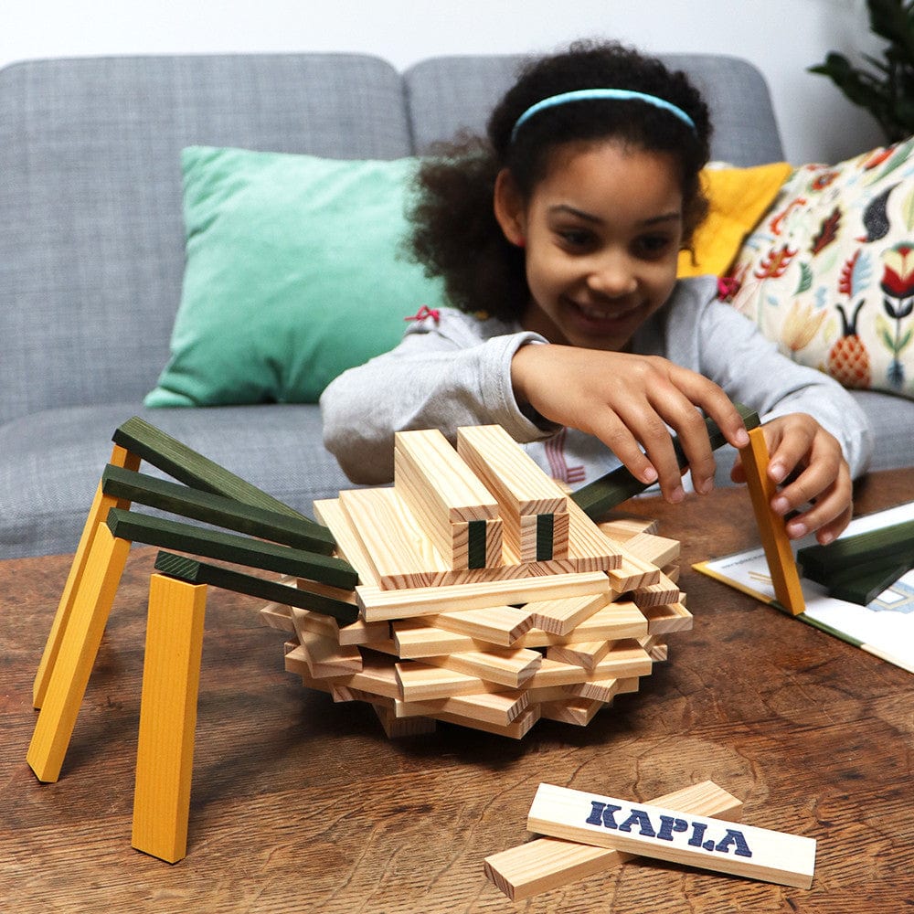 Kapla Spider Case