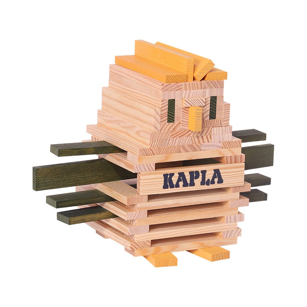Kapla Spider Case
