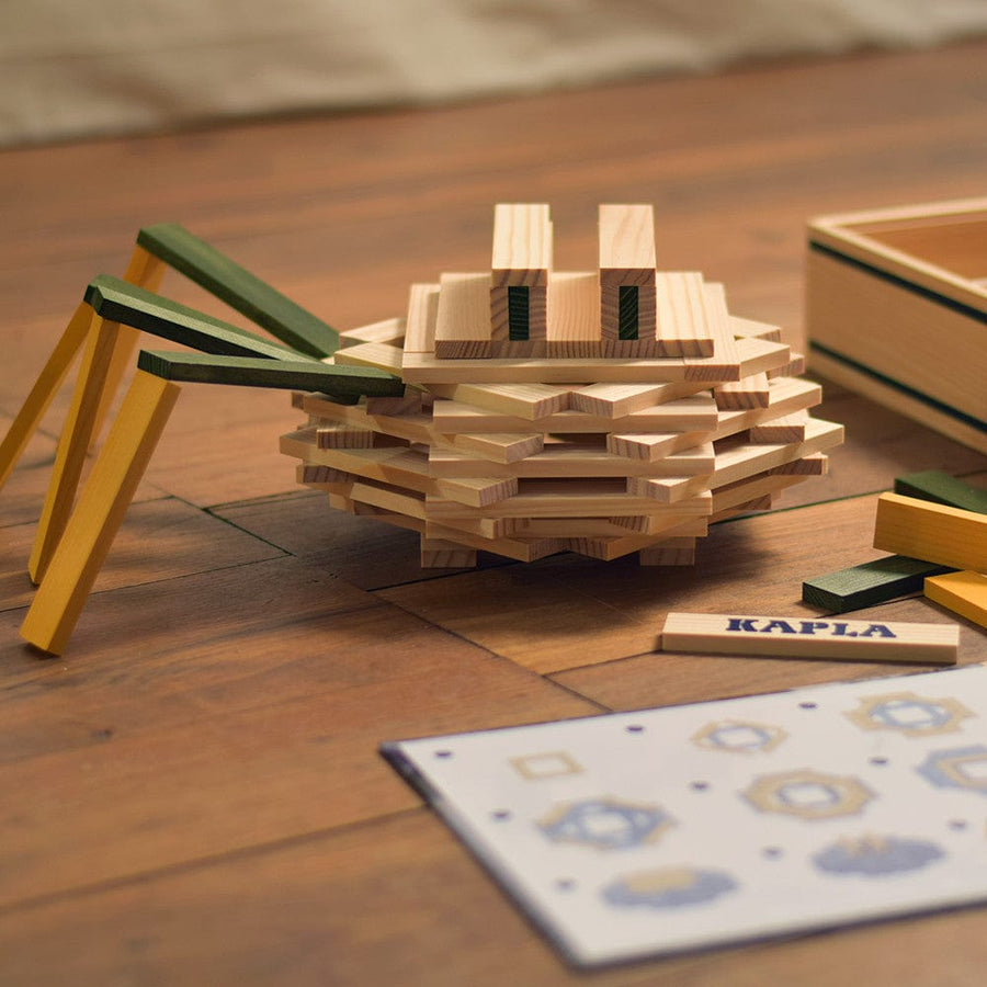 Kapla Spider Case