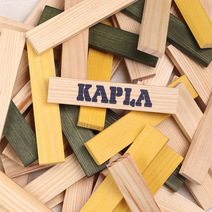 Kapla Spider Case