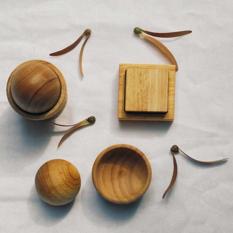 QToys Montessori Egg, Ball and Cup set