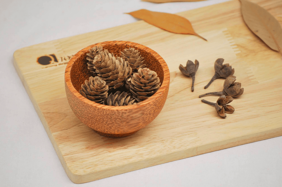 QToys Coconut Wood Bowl