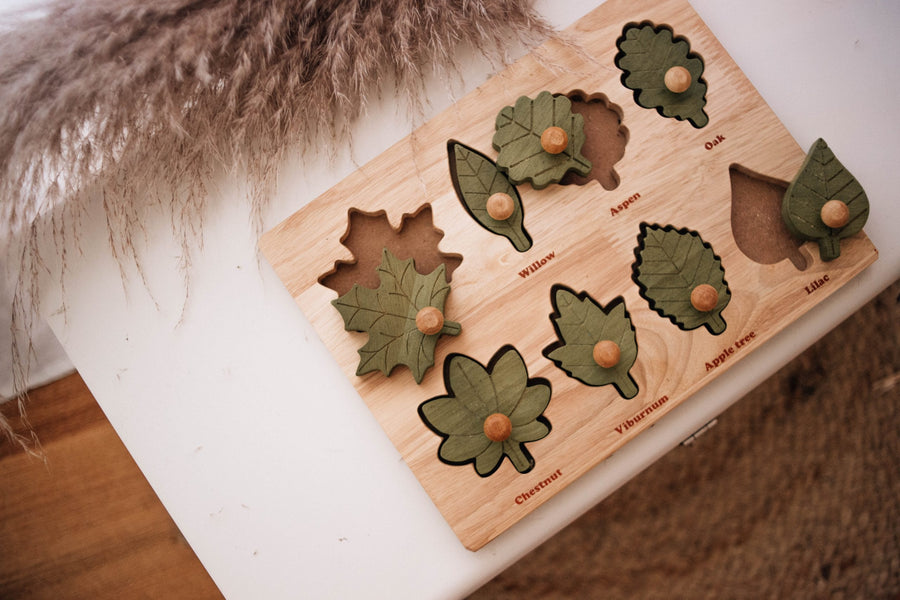 QToys Montessori Leaf Puzzle