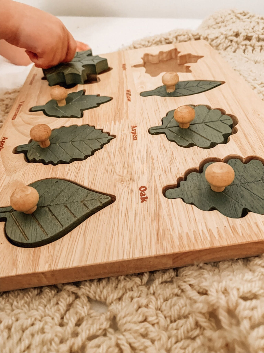 QToys Montessori Leaf Puzzle