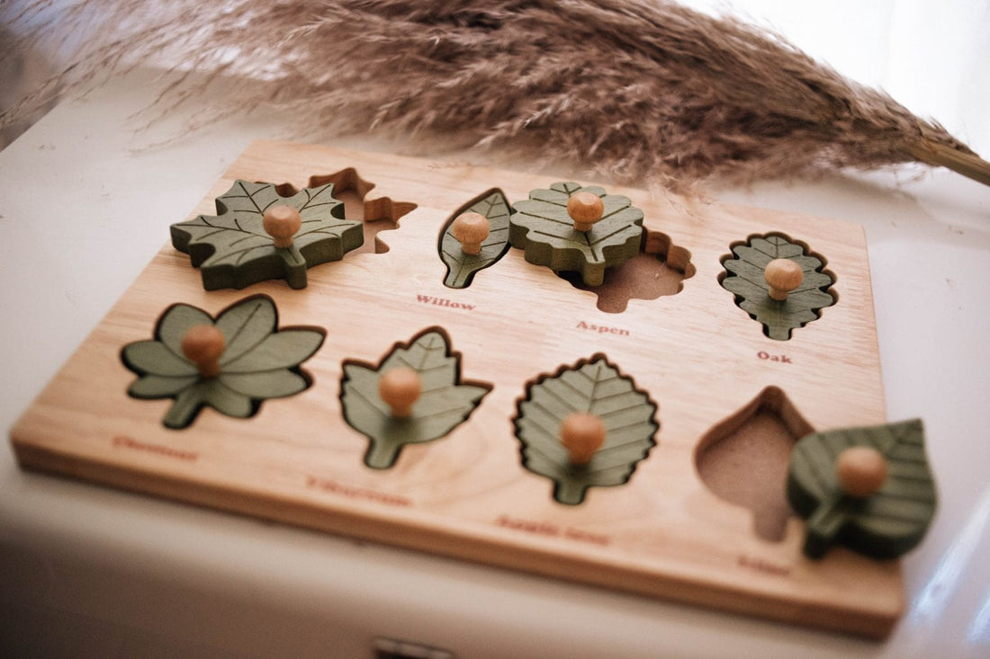 QToys Montessori Leaf Puzzle