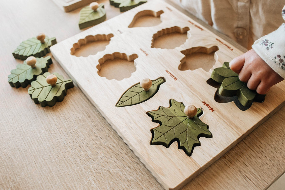 QToys Montessori Leaf Puzzle