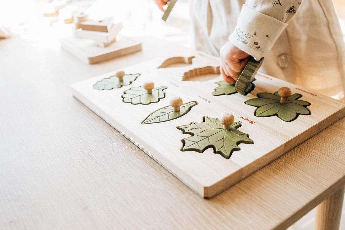 QToys Montessori Leaf Puzzle