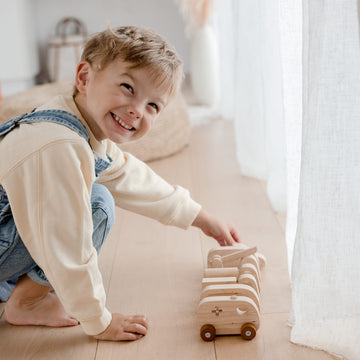 QToys Vehicle Play Set