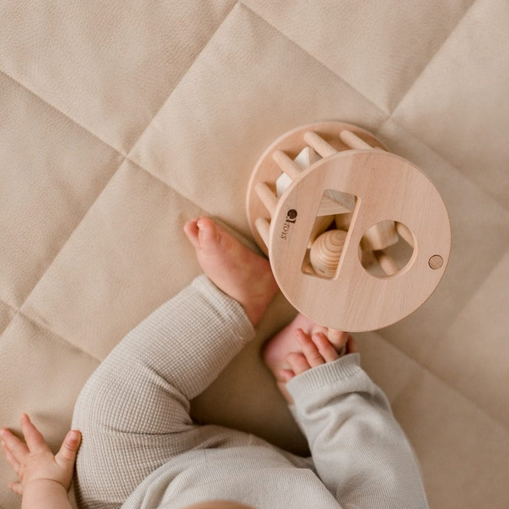 QToys Wooden Shape Sorter