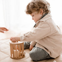 QToys Wooden Shape Sorter
