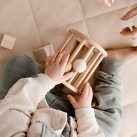 QToys Wooden Shape Sorter