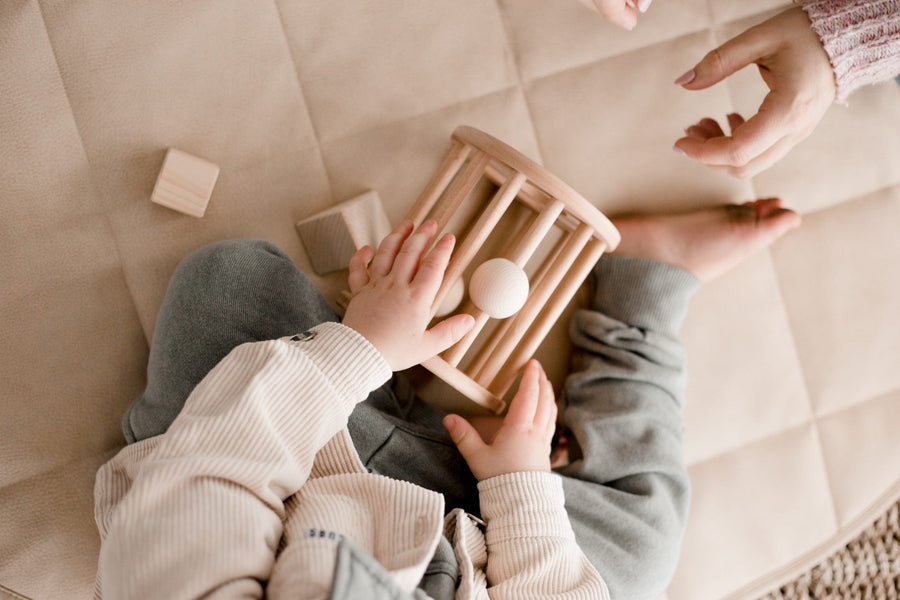 QToys Wooden Shape Sorter