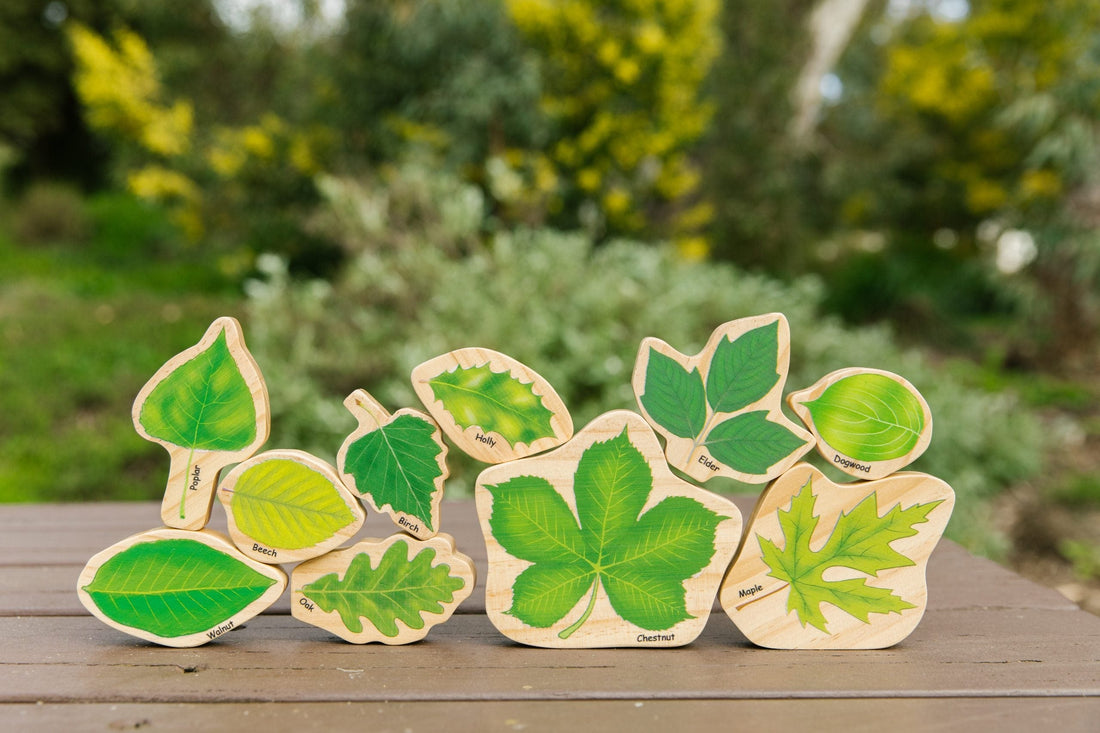 The Freckled Frog Stacking Leaves