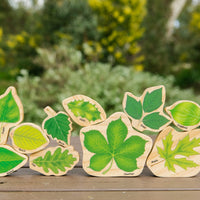 The Freckled Frog Stacking Leaves
