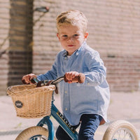 Trybike Basket for Trybike Steel