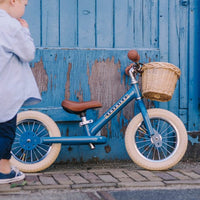 Trybike Basket for Trybike Steel