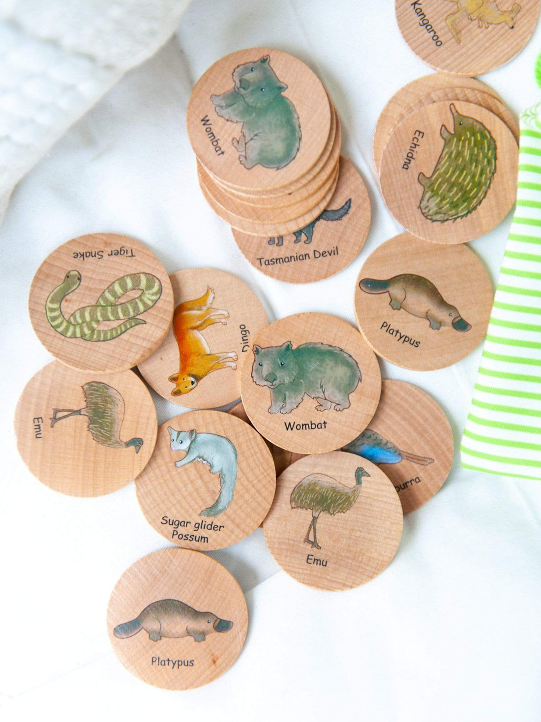 Freckled Frog Australian Animals Matching Pairs