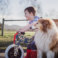 Wishbone Bike Pangolin 3-in-1