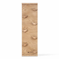 My Duckling Pikler Rock Climbing Ramp