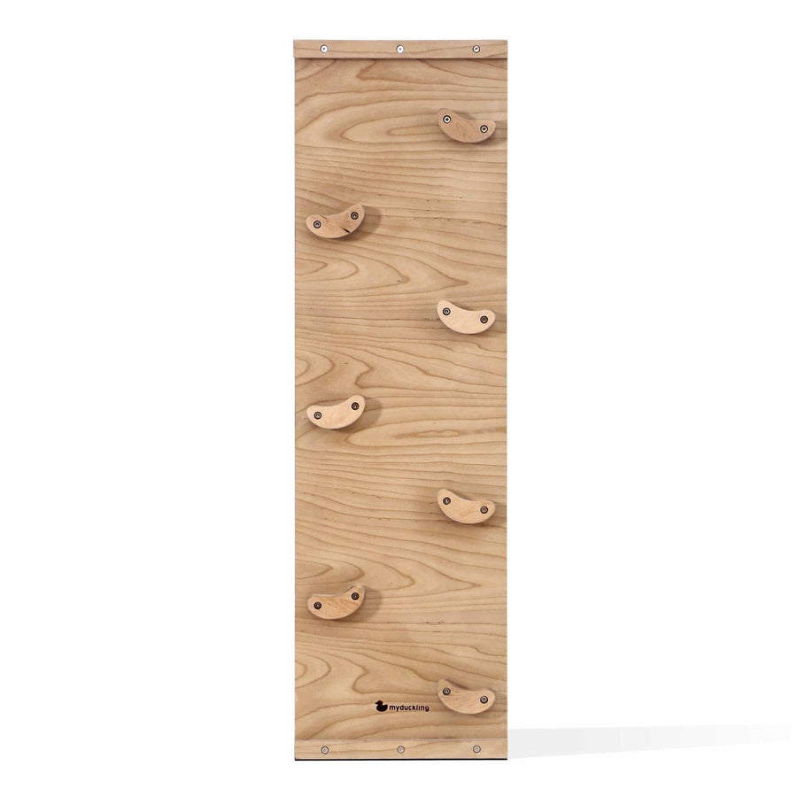 My Duckling Pikler Rock Climbing Ramp