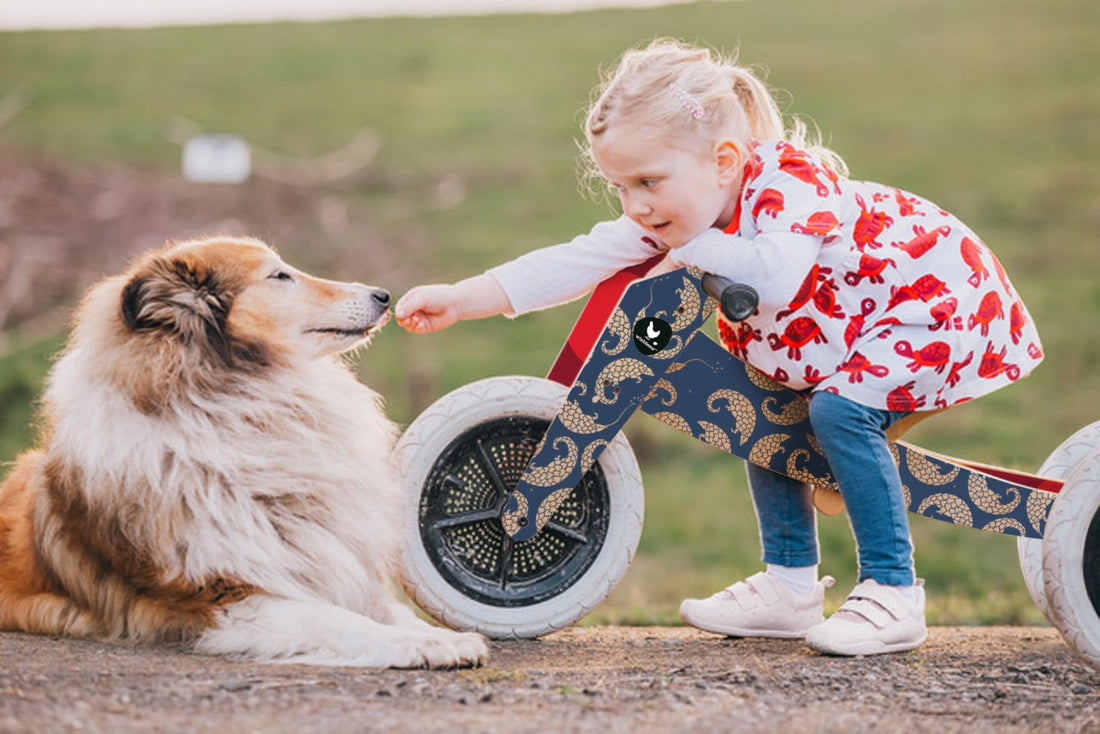 Wishbone Bike Pangolin 3-in-1
