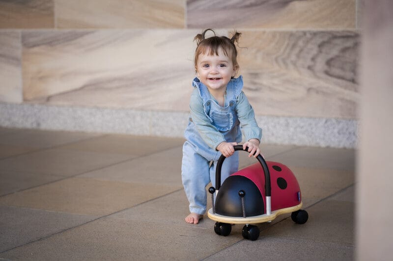 Wheely Bug Ladybug Small